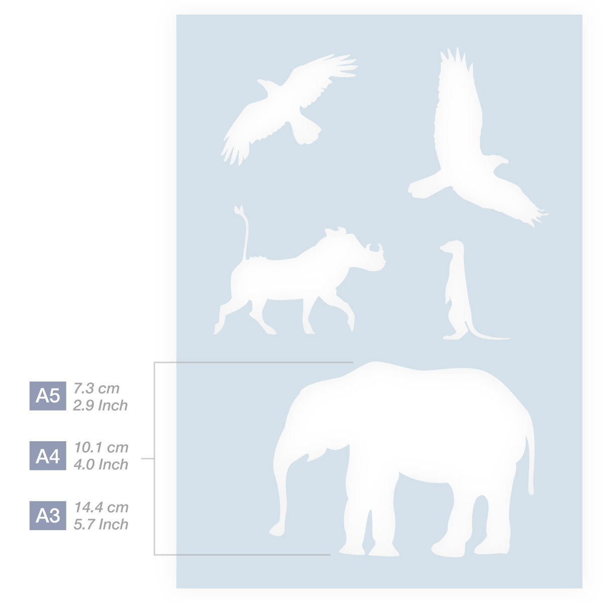 Measurements African Elephant Warthog Meerkat Birds Stencil